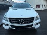 Mercedes-Benz ML 250 CDI BlueTec 4 Matic Automatik - Mercedes-Benz ML 250 aus 2015