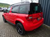 Skoda Yeti 1.4 DSG Monte Carlo, Bi-Xenon, SHZ  *9 - Skoda: Monte Carlo