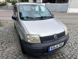 Fiat Panda - Fiat Panda Gebrauchtwagen in Karlsruhe