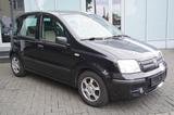 Fiat Panda 1.2 8V Dynamic /Navi/Klima - Fiat Panda Gebrauchtwagen in Kassel