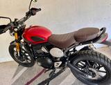 Triumph Scrambler 400X im Neuzustand wenig KM  - TRIUMPH SCRAMBLER 400 X