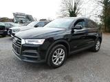 Audi Q3 design quattro Opa´s Bester,wie neu - : Geländewagen, Best