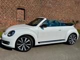 Volkswagen Cabrio 1.4 TSI BMT Xenon Leder Navi - Volkswagen Beetle in Düsseldorf
