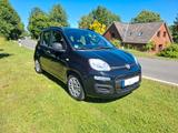 Fiat Panda, Servo, Klima,ZV,eFH,5-T, 86 TKM,TÜV neu - gebrauchte Fiat Panda aus dem Jahr 2014