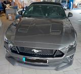 Ford Mustang 5.0 Ti-VCT V8 GT GT - Ford Mustang Gebrauchtwagen in Dresden