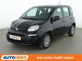 Fiat Panda 1.2 Easy*PDC*KLIMA*DAB*1.HAND*GARANTIE* - Fiat Panda Gebrauchtwagen in München