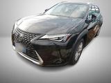 Lexus UX 2.0 HEV 250 e-CVT*LED*Kamera*ACC*NAVI* - Lexus UX aus 2020