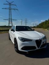 Alfa Romeo Stelvio 2.2 Diesel 16V 154kW Estrema AT8-Q4 - Alfa Romeo Gebrauchtwagen in Mannheim
