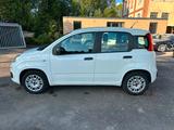 Fiat Panda Easy - Klima - 1 Hand - Fiat Gebrauchtwagen von 2020