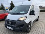 Fiat Ducato series 9 35 L2H2 Kawa verblecht 1