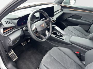 Cupra Terramar - 7