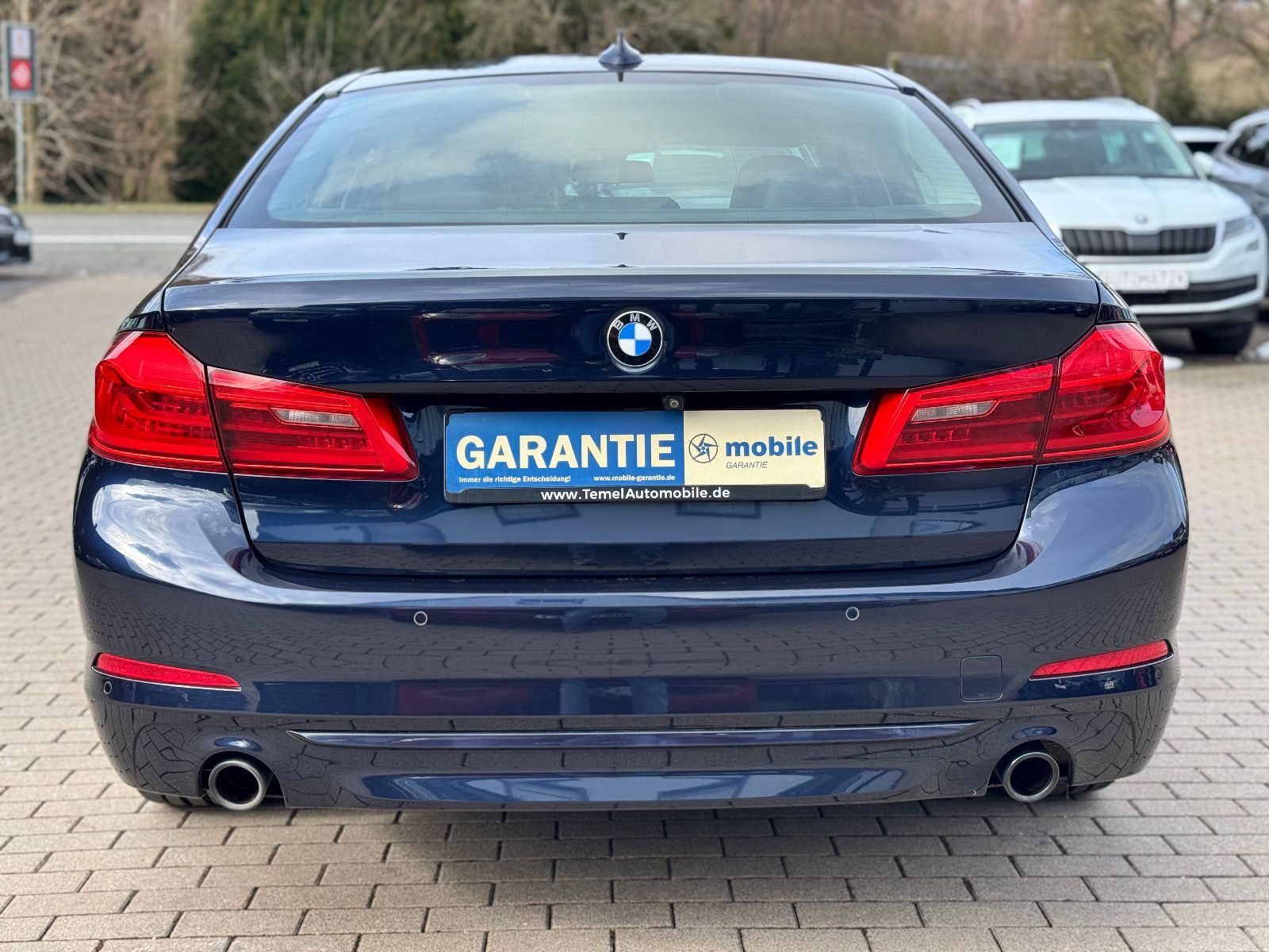 BMW 520, 2019, Diesel, 190 PS