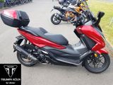 Honda Forza 350 mit Akrapovic und Topcase - Offers matching your search criteria