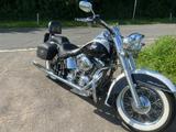 Harley-Davidson Softail deluxe FLSTN - Offers
