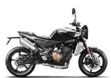 Husqvarna Svartpilen 801 2024 + Dynamic Pack - HUSQVARNA SVARTPILEN 801