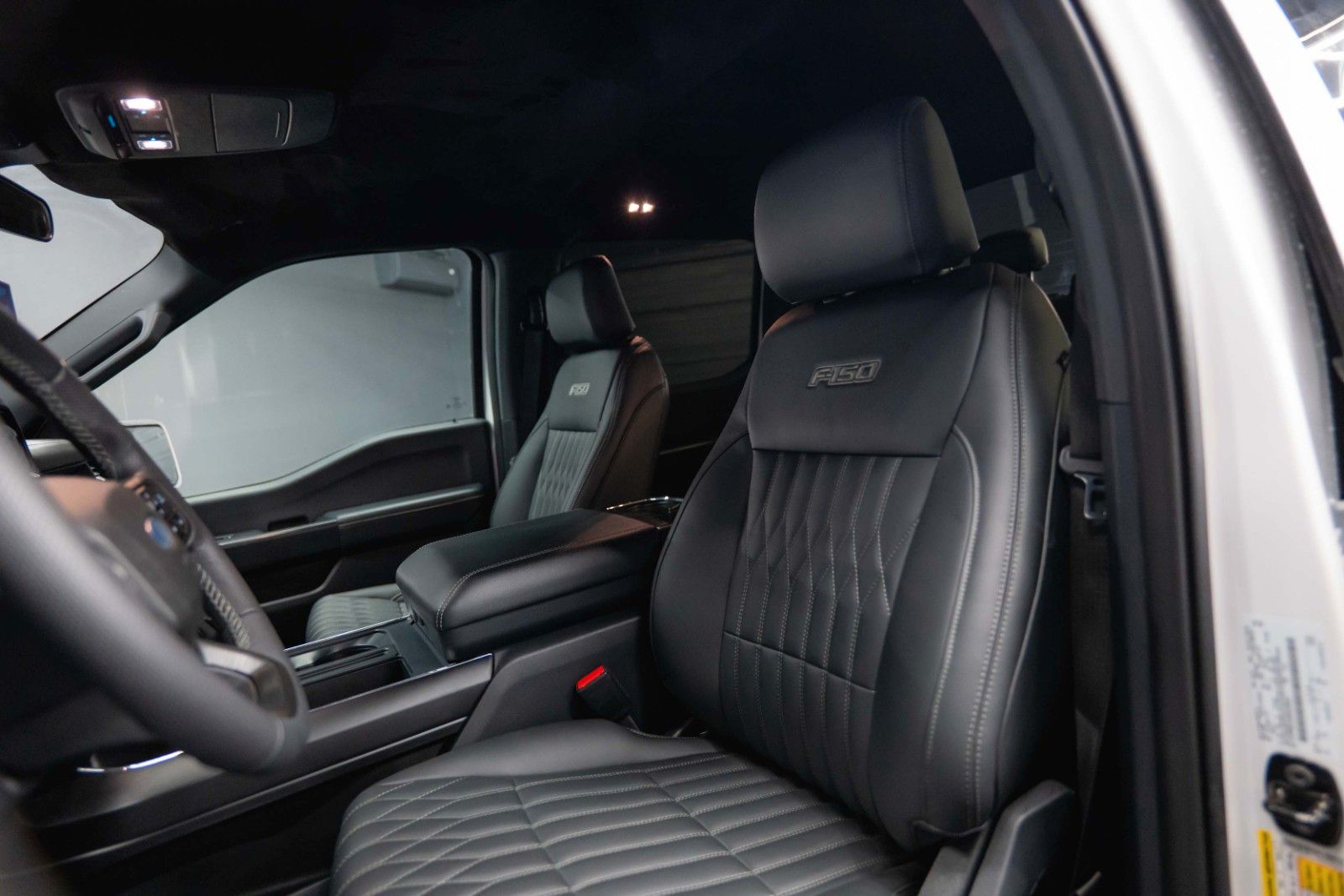 Fahrzeugabbildung Ford F150 5.0L V8 4x4 Offroad SuperCrew RAPTOR 19%