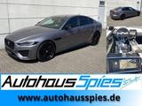 Jaguar XE D200 Mild-Hybrid R-Dynamic Black ACC Ambiente - Jaguar aus 2023