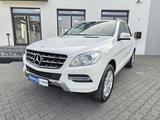 Mercedes-Benz ML 250 CDI 4Matic LEDER NAVI RFK AHK AUS 2.HAND - Mercedes-Benz ML 250: Weiß