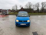 Fiat Panda - Fiat Panda in Kiel
