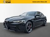 Alfa Romeo Giulia 2.0 Competizione Q4 H&K Matrix ACC Memory - gebrauchte Alfa Romeo Giulia aus dem Jahr 2023