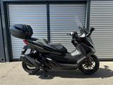 Honda FORZA 350 / MODELL 2025 / DAILY ADMISSION !! - HONDA FORZA 350
