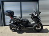 Honda FORZA 350 / MODELL 2025 / DAILY ADMISSION !! - Offers matching your search criteria