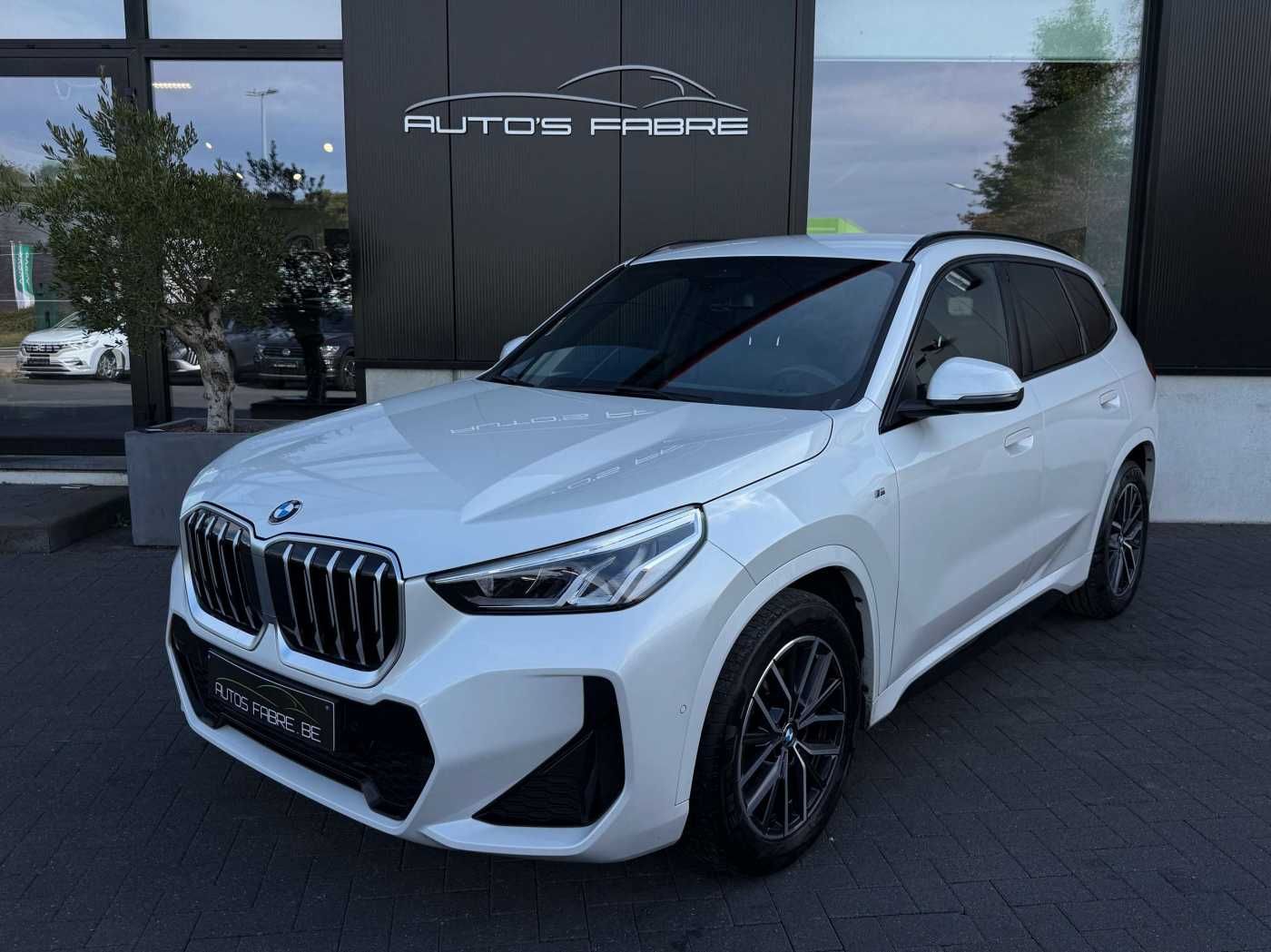 BMW X1 1.5iAS M-Pack Automatic Leder Gps Camera 53