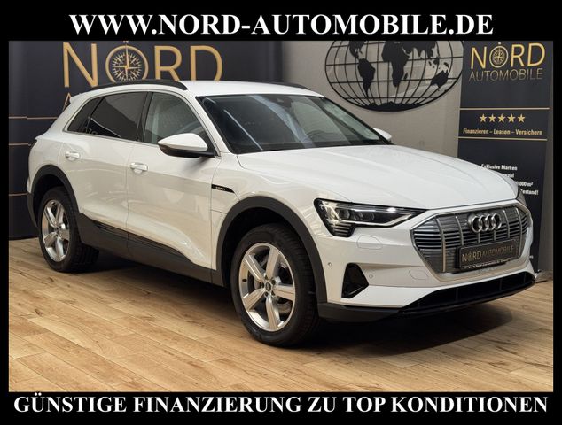 AUDI e-tron 55 QU.Teilleder/Navi/LED/Side&amp;Lane/20