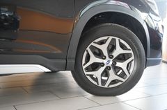 Fahrzeugabbildung Subaru Forester 2.0 E-BOXER 4X4 NAVI/LED/KAMERA/SH/DAB+