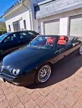 Alfa Romeo GTV Spider 3.0i V6 Busso - Alfa Romeo GTV: 3.0