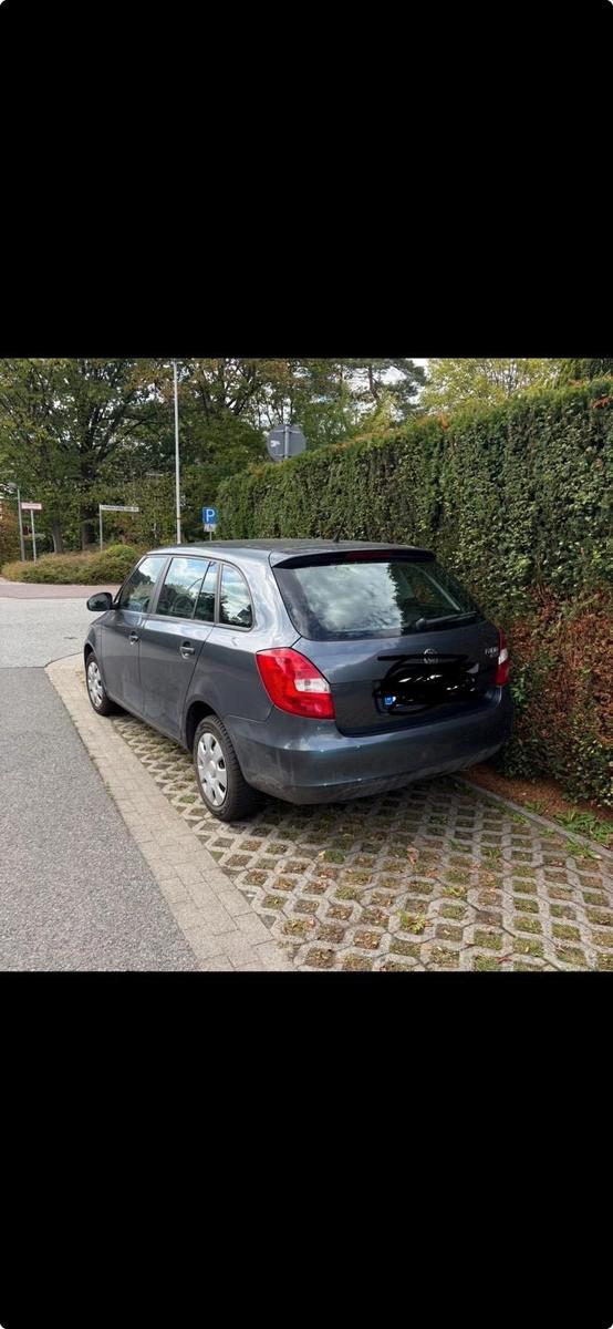 Skoda Fabia 2010 — rear view