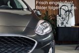 Ford FORD Kuga 1.5 EcoBlue COOL&CONNECT - Ford Kuga: For