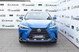 Lexus NX 450h+ 2,5 PHEV AWD Business Plus - Lexus NX-Serie