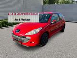 Peugeot 206 1.1 60 Urban Move - Peugeot 206: Rot