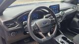 Ford Focus ST-Line X Automatik Kamera Carplay Navi LE - Ford: Kleinwagen, Ka Auto