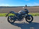 Benelli BN 125  1. Hand  Grau  EZ 03/24  12.000 km  - BENELLI 125