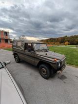 Mercedes-Benz G 250 Puch - Mercedes-Benz G 250 von privat