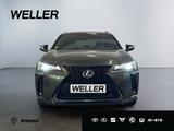 Lexus UX 250h F SPORT Design *LED*ACC*CAM*SHZ*SmartKey - : Grün, Metallic