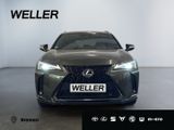 Lexus UX 250h F SPORT Design *LED*ACC*CAM*SHZ*SmartKey - Lexus UX: F Sport