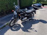 Triumph Bonneville T120 (2024) wie neu