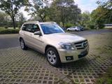 Mercedes-Benz GLK 220 CDI 4MATIC - - Mercedes-Benz mit Diesel-Antrieb: Beige, Geländewagen
