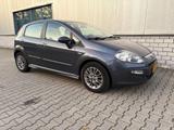 Fiat Punto 1.3 multijet - Fiat Punto aus 2011 mit Diesel-Antrieb