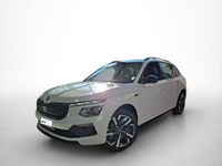 Skoda Kamiq - Vorschau Bild 1
