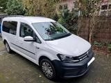 Volkswagen Caddy Maxi (Camper möglich) - : Kombi, Camper