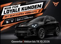 Cupra Terramar - Vorschau Bild 1