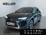 Lexus UX 250h Style Edition *Bi-LED*ACC*CAM*SHZ*CarPla - Lexus Gebrauchtwagen von 2022