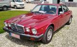 Jaguar Schöner Jaguar XJ12 Sovereign Bj 81 überar... - Jaguar XJ12 von privat