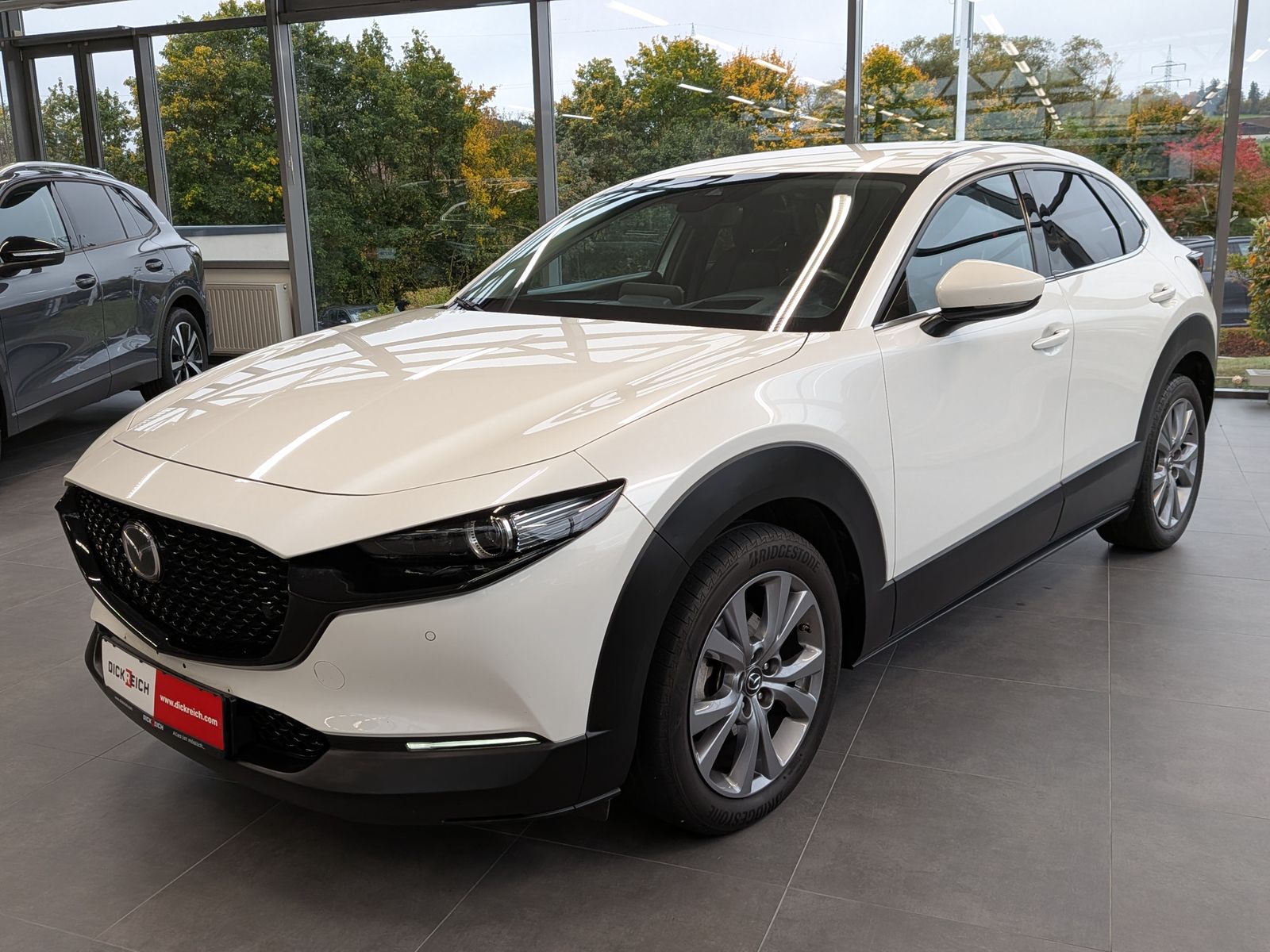 Fahrzeugabbildung Mazda CX-30 Selection 2WD LED Design ACC BOSE HUD CAM