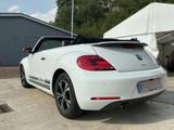 Volkswagen Beetle Cabriolet 1.2 TSI BMT, Navi, PDC, Klima - Volkswagen Beetle: Weiß