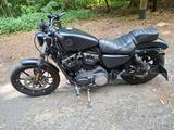 Harley-Davidson Sportster XL883N Iron Black Denim - HARLEY-DAVIDSON SPORTSTER XL 883 N IRON